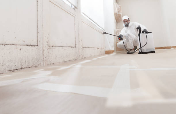 24/7 Emergency Mold Testing experts in Coal Township, PA